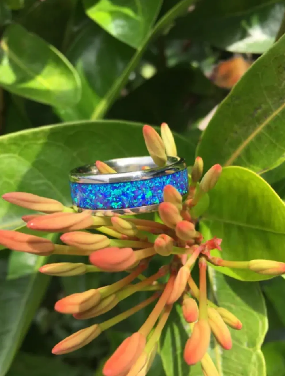 Black Lab Opal Titanium Ring