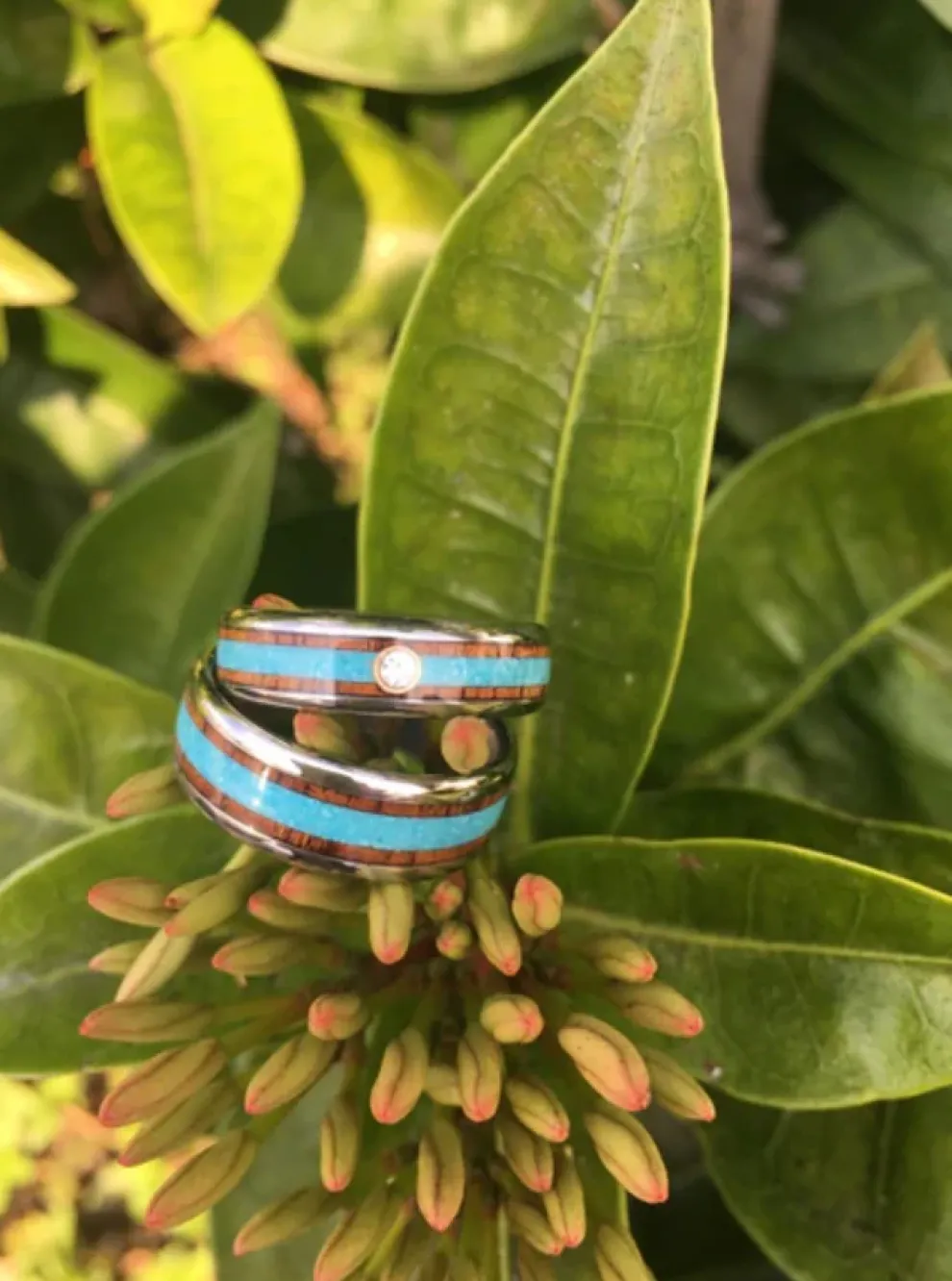 Koa And Turquoise Titanium Ring Band