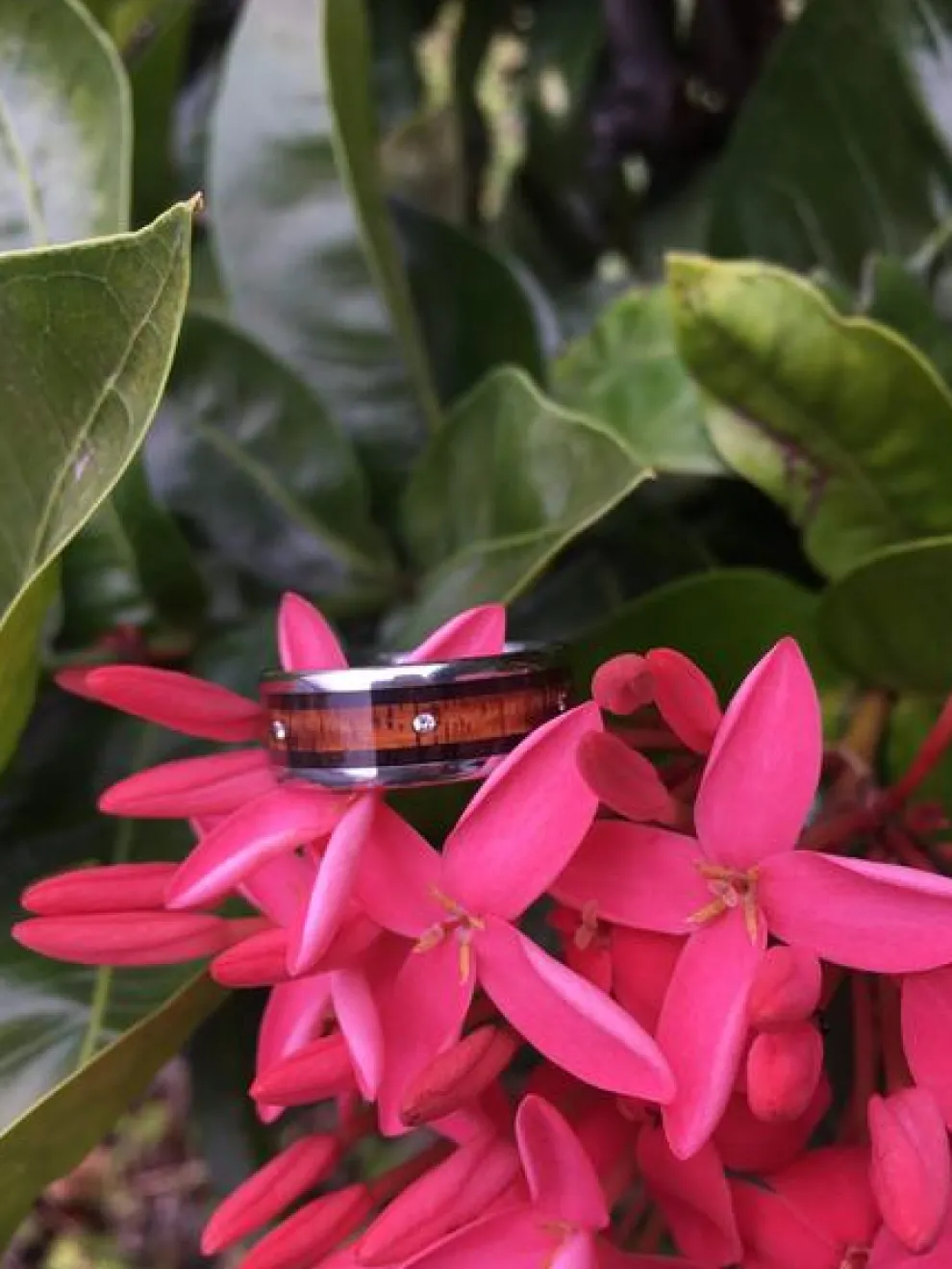 Mens Diamond Wood Titanium Ring