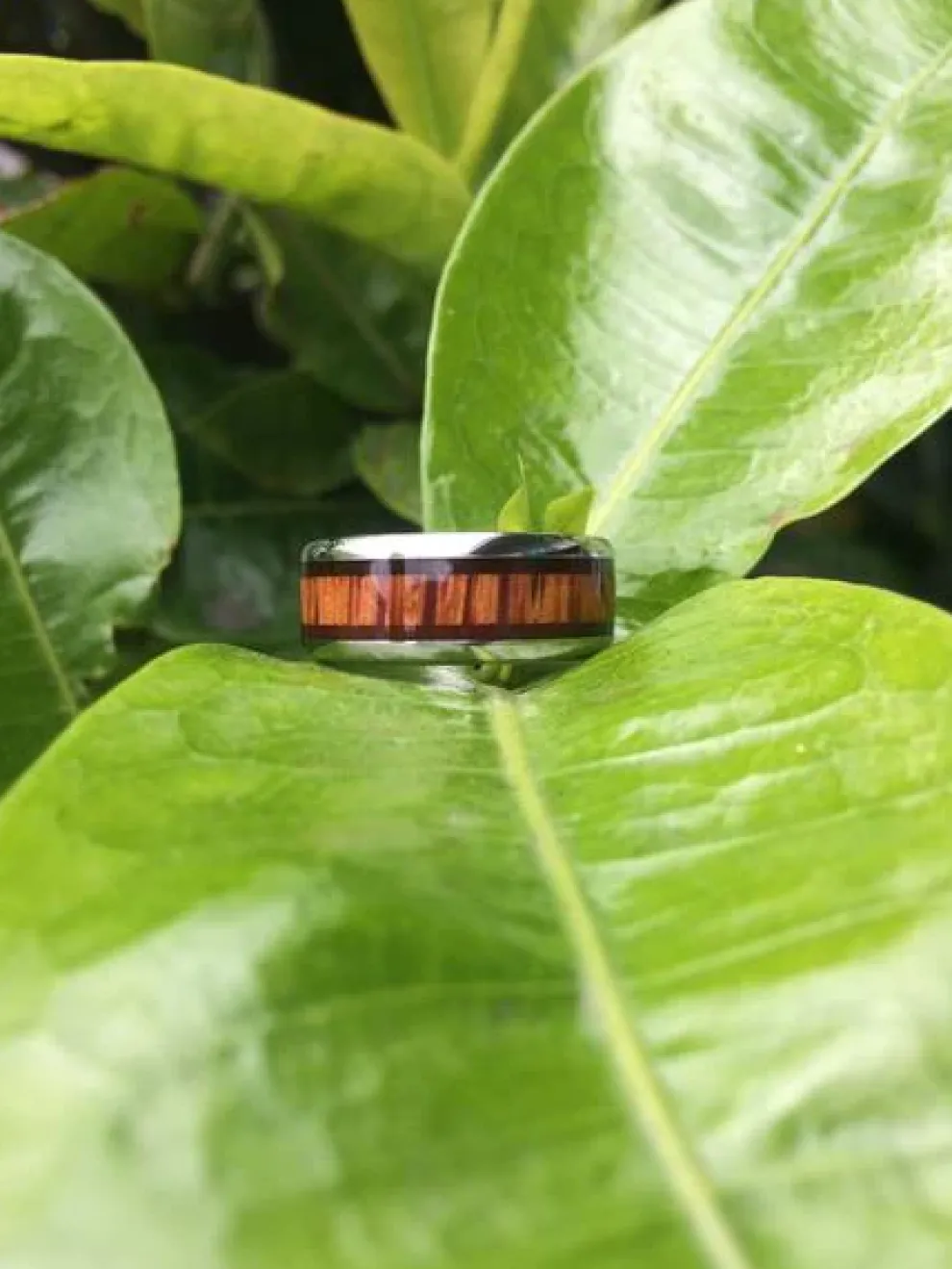 Milo And Palm Titanium Ring